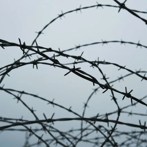 Колючая проволока КЦ-4-А 08кп ГОСТ 285-69